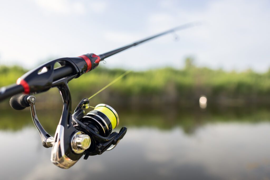 fishing rod in the water